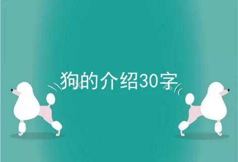 狗的介绍30字