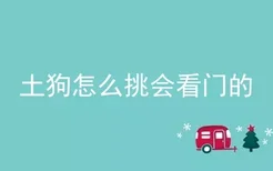 土狗怎么挑会看门的