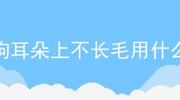 狗狗耳朵上不长毛用什么药