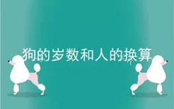 狗的岁数和人的换算