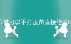 公猫可以不打疫苗直接绝育吗