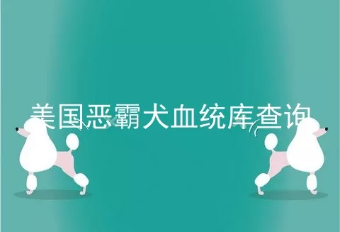 美国恶霸犬血统库查询