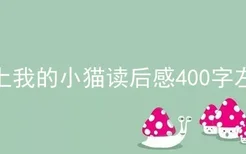 黏上我的小猫读后感400字左右