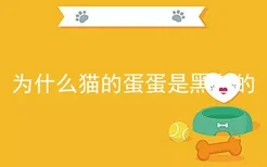 为什么猫的蛋蛋是黑色的