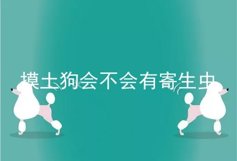 摸土狗会不会有寄生虫