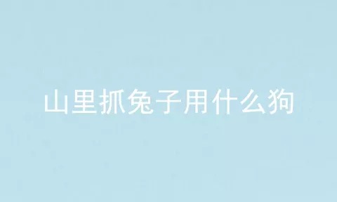 山里抓兔子用什么狗