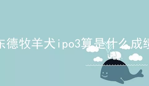 东德牧羊犬ipo3算是什么成绩