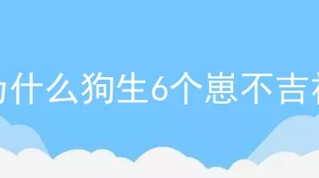 为什么狗生6个崽不吉祥