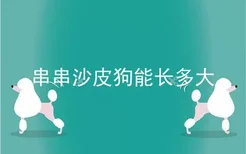 串串沙皮狗能长多大