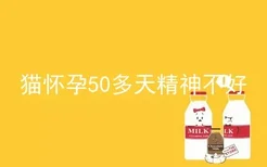 猫怀孕50多天精神不好