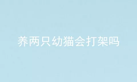 养两只幼猫会打架吗