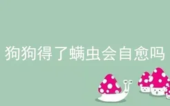 狗狗得了螨虫会自愈吗