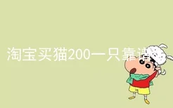 淘宝买猫200一只靠谱么