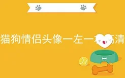 猫狗情侣头像一左一右高清