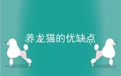 养龙猫的优缺点