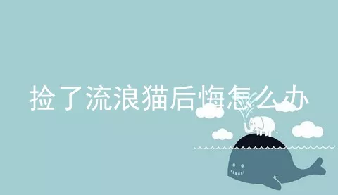 捡了流浪猫后悔怎么办