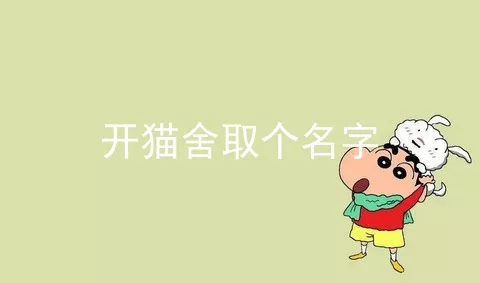 开猫舍取个名字