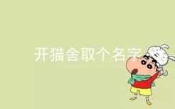 开猫舍取个名字