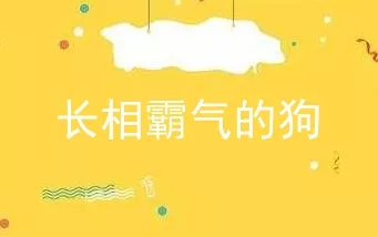 长相霸气的狗