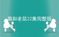 猫和老鼠22集完整版