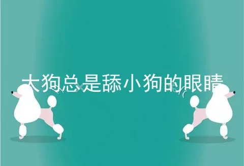 大狗总是舔小狗的眼睛