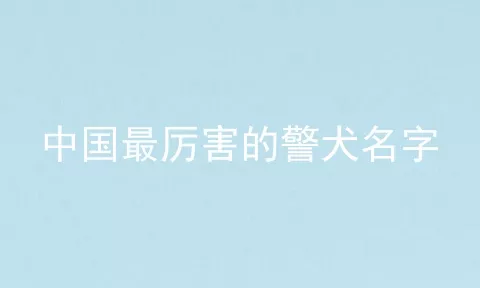 中国最厉害的警犬名字