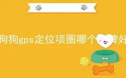 狗狗gps定位项圈哪个品牌好