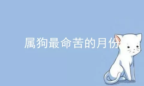 属狗最命苦的月份