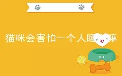 猫咪会害怕一个人睡觉嘛