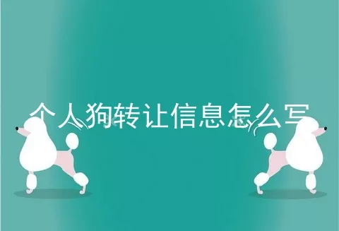 个人狗转让信息怎么写