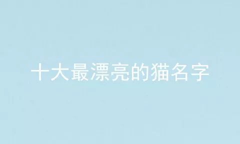 十大最漂亮的猫名字