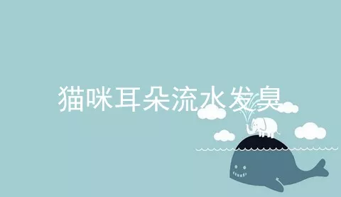 猫咪耳朵流水发臭