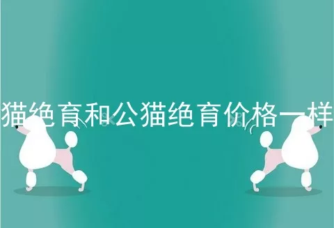 母猫绝育和公猫绝育价格一样吗