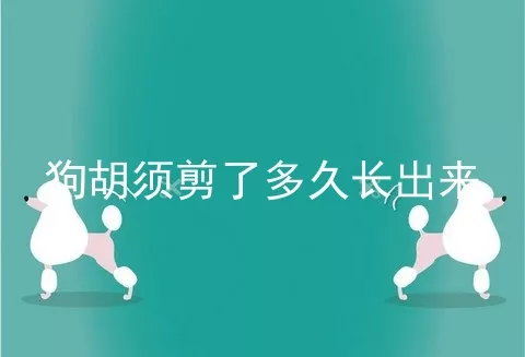 狗胡须剪了多久长出来