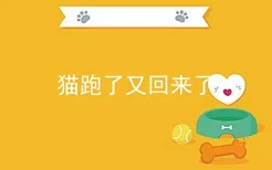 猫跑了又回来了