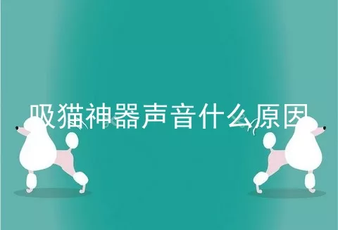 吸猫神器声音什么原因