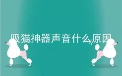 吸猫神器声音什么原因