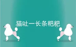 猫吐一长条粑粑