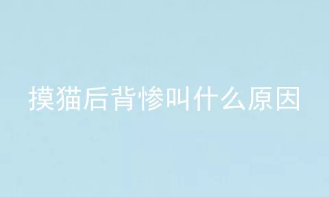 摸猫后背惨叫什么原因