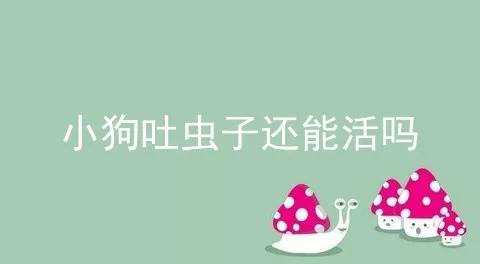 小狗吐虫子还能活吗