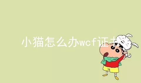 小猫怎么办wcf证书