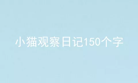 小猫观察日记150个字