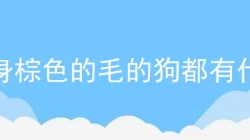 全身棕色的毛的狗都有什么