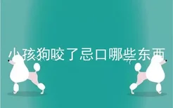 小孩狗咬了忌口哪些东西