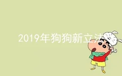 2019年狗狗新立法