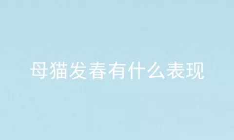 母猫发春有什么表现