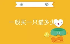 一般买一只猫多少钱