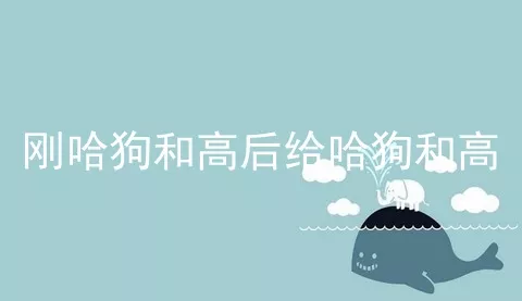 刚哈狗和高后给哈狗和高