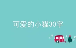 可爱的小猫30字