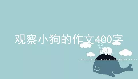 观察小狗的作文400字